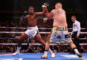 How to Watch Boxing on Your Smartphone