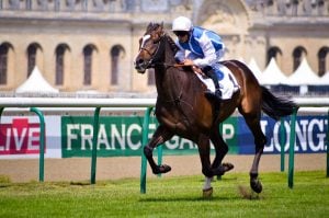 The Biggest Names In Horse Racing Right Now