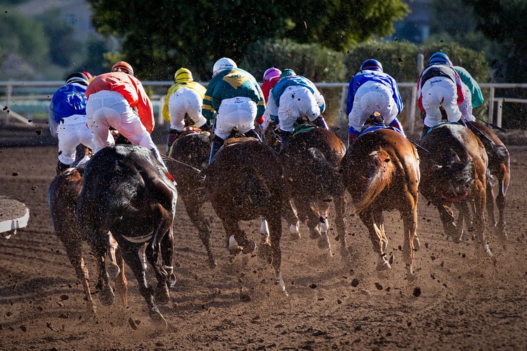 Learn About the Sport of Horse Racing Today