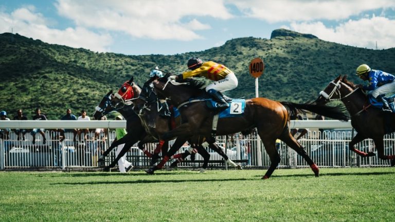 Learn About the Sport of Horse Racing Today