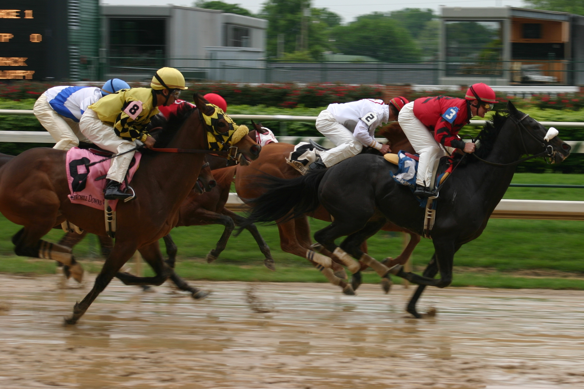 7 Interesting Facts About Horse Racing